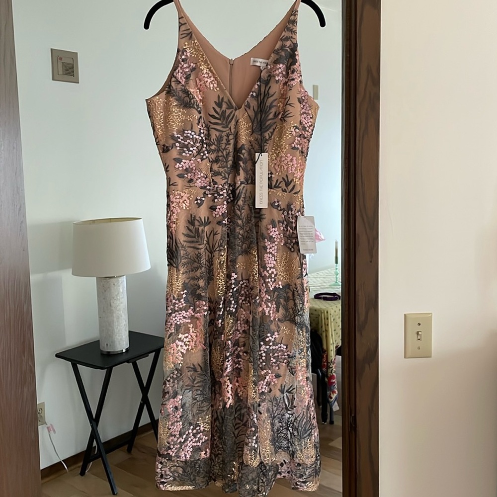 NWT Embroidered Dress the Population dress